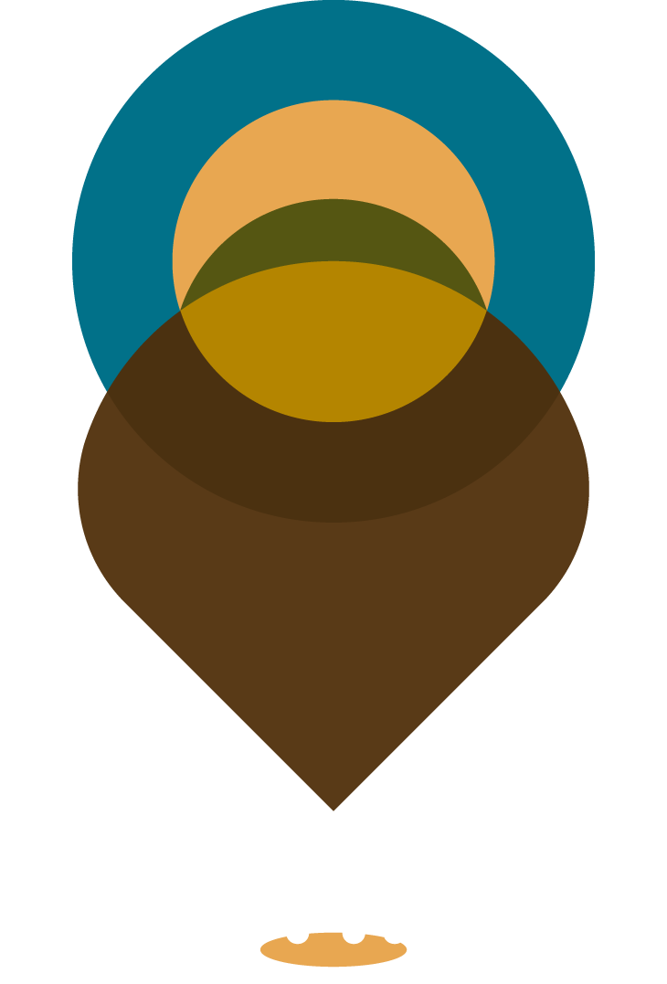 logo-pin
